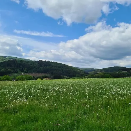 Ferienwohnung Naturblick *
